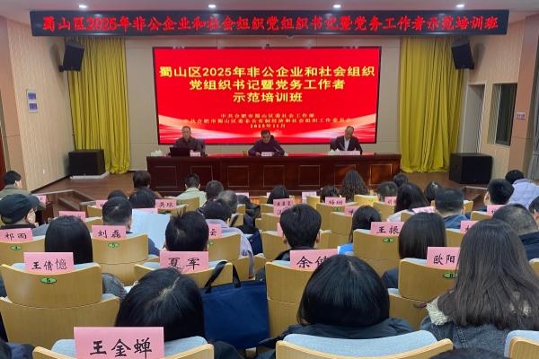 蜀山區2025年非公企業和社會組織黨組織書記暨黨務工作者示范培訓班成功舉辦